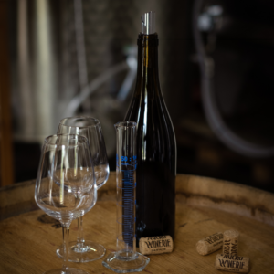 Atelier Création de vin